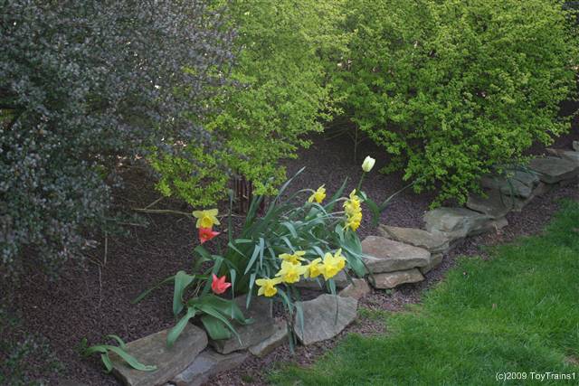 2009 side yard garden