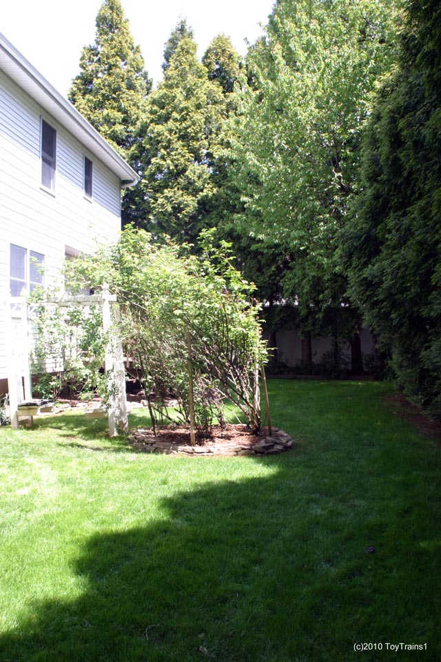2010 back yard garden