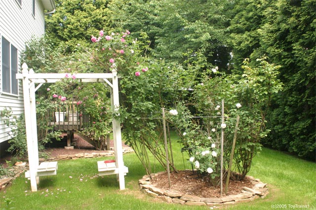 2005 back yard garden