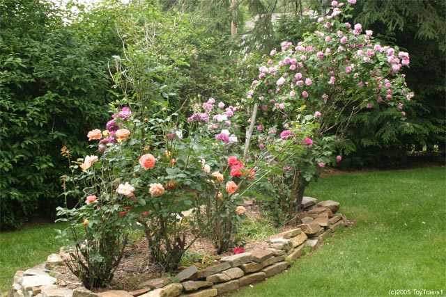 2005 Side Yard Garden