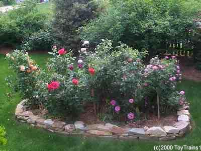 1999 side yard rose garden